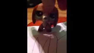 for mluvzlps