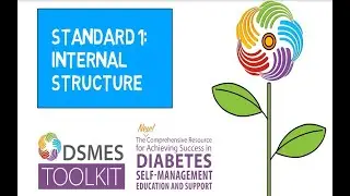 National Standard For DSMES 1: Internal Structure