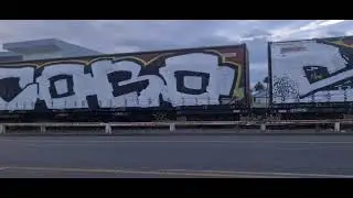 Dkc the take over nz grafitti stors smoke cobo