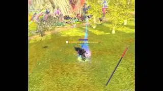 [EliteSro] eSaa killed Demon Shaitan #2