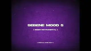 Sebene Mood 5 (Sebene Instrumental)