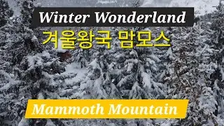 Blanketed in Snow–맘모스 마운틴 겨울왕국  Debussy & Chopin | Mammoth Mountain