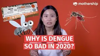 Why is the dengue outbreak in Singapore so bad this year? | Mothership Tries to Explain...