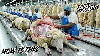 Inside a Modern Sheep Factory: Meat, Milk, Wool & Sausage Production (Full Industrial Process)
