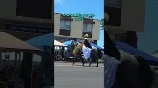 2025 Merrie Monarch Parade in Hilo 
