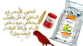 الملون الٱحمر مع الباطي و اش ممكن نحتفض بيه بعض الٱيام و كم المقدار المستعمل؟ - CHEMIVIT//PRONTO NEW