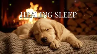 Magical Holiday Sleep: Cozy Fireplace Ambience & Puppy Music for Mind Healing 🎅✨