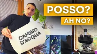 S&igrave; o No al Cambio d&rsquo;acqua in Maturazione? 💦 Analizziamo 3+1 scenari