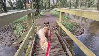 Sherpa Visits The Ancient Village  Little Walsingham