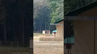 Sultan FRH, Dhikala Tourism Zone, Corbett Tiger Reserve.