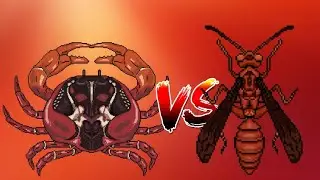 pocket ants: Christmas Crab vs Red Paper Wasp