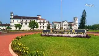 Old Goa Church&rsquo;s | Basilica of Bom Jesus | Se Cathedral | Archaeological Museum of Goa