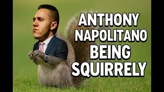 Watch Before You Join iGenius: Ant being a Squirrel #antimlm #igenius