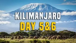 Kilimanjaro - Hiking to the Summit on Day 5 and 6