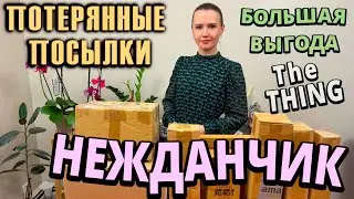 НЕЖДАНЧИК В ПОТЕРЯННЫХ ПОСЫЛКАХ / БОЛЬШАЯ ВЫГОДА / $530 МЫ ДОВОЛЬНЫ