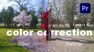 My color correction examples