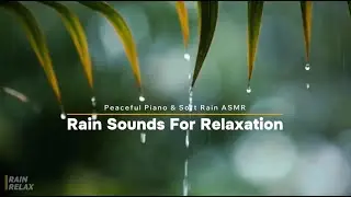 Gentle Rain Sounds with Relaxing Piano Music for Deep Sleep, Calm Focus, and Night Relaxation