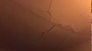 Sudden Ceiling Collapsing