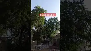 INTI #travelling #travel #pushkar #food #viralvideos #streetfood #foodie