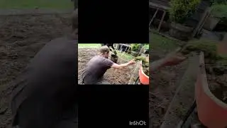 #shorts#satisfying#asmr#transformation#nice#garden#enjoy#gardening#landscape#short#digging#work