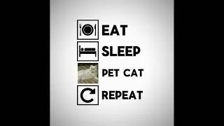 A cat owners' schedule 😂 #relatable #cute #funnymemes #funny #memes #cats #catshorts #foryou #fy