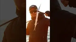 Черноморский сарган на пилькер ⚡️ #fishing #рыбалка #ловлясаргана
