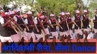 आदिवासी Dance , रीना, सैला || आदिवासियों का रीना और सैला प्रमुख त्यौहार है...