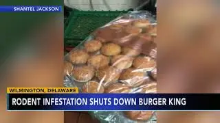 Burger King in Delaware reopens after video of rodents on hamburger buns