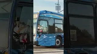 Mta Bus Company: 2023 Nova Bus LFS SmartBus on the Q39 w/ @Iceykicks
