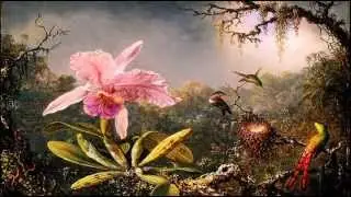 Tropical Nights (Ricky King)