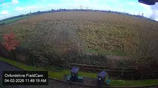 🔴 LIVE Oxfordshire FieldCam - Live Streaming from Oxfordshire, UK