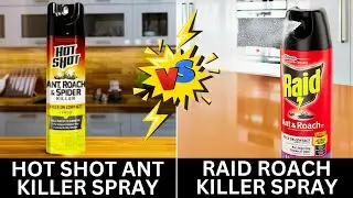 Спрей от муравьев и тараканов Hot Shot или Raid (какой из них эффективнее)