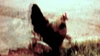 Bessiekat - Hearp [Willis Anne Remix]