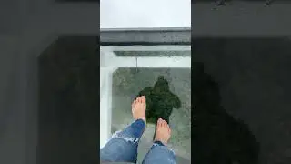 Glass walk in Batangas City Philippine #glasswalk #adventure #batangas