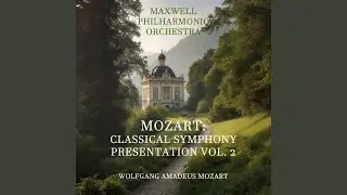 Symphony No.35 In D Major K.385: IV. Finale-Presto
