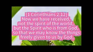 [1 Corinthians 2:12]2026-01-12 [Monday]#shorts #Christ#Church#Bible