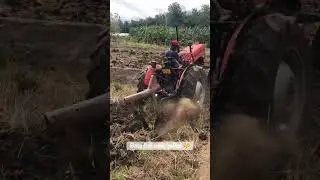 #tafe #tractor #india #automobile #paddy #nature #trending #skills #srilanka