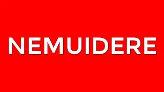 &iquest;Qu&eacute; es NEMUIDERE?