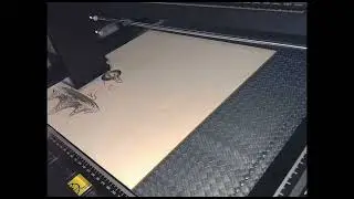 Longer 3D Ray5 20 Watt Laser Test