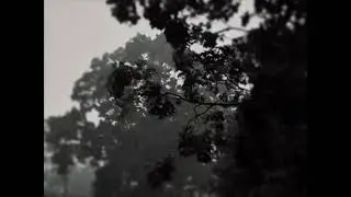 Euphoric post punk mix + rain (the smiths , wire , the cure , sonic youth)