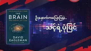 The Brain:The Story Of You |Book summary Myanmar #booksummary #motivation #myanmar #စာပေ 