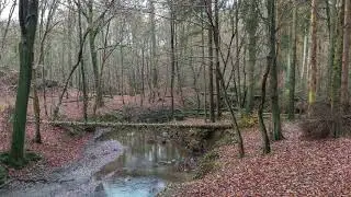 Wandern in Leichlingen