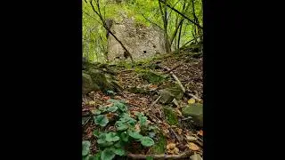 Burgruine Perwarth (Hochperwarth, Oberperwarth)    A-3263 Randegg