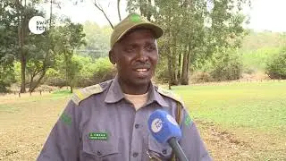 KARURA FOREST PYTHON