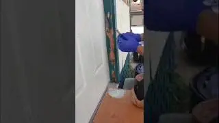 Bondo Rotten Door Frame