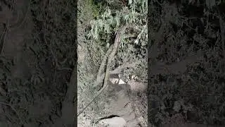 mini vlog hydro power projects #shorts #video #trend #trending #viral #travel #vlog #daily #post