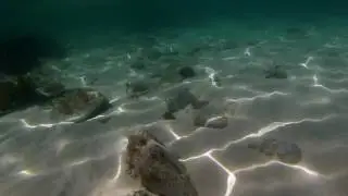 Marino Rocks Underwater World