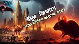 সাবা জাতি ধ্বংশ কারণ😊আসমান থেকে আল্লাহ গজব|| new islamic story2025