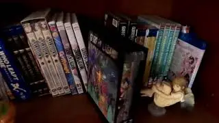 My Anime/Animation Collection Tour (Nov 2020 Update)