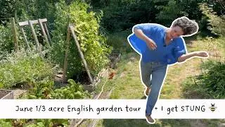 1/3 acre English garden tour in Summer + the bees STUNG me while we filmed! 🐝